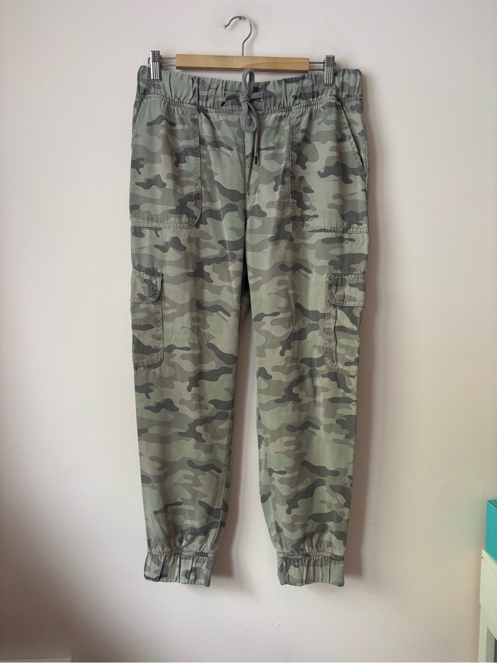 American Eagle Camo Joggers